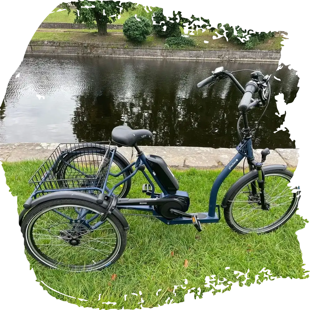 Electric Bosch Trike